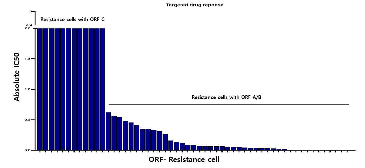 Kinase 과발현 내성세포주의 EGFR TKI와 각 kinase 표적약물에 대한 반응성(크게 두 그룹으로 나누어짐)