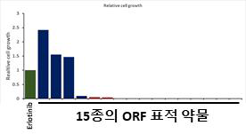 PC910번(내성유도용이세포)를 기반으로 erlotinib과 표적 약물 병용 처리를 통한 내성 억제 유무 확인 (erlotinib에 의한 내성 획득을 기준으로 하여 상대적 비교)