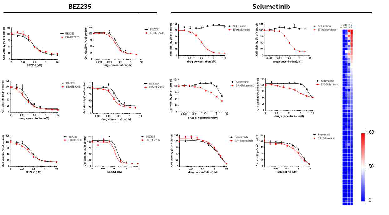 내성 세포주의 BEZ235, Selumetinib처리에 의한 약물 민감도 데이터(대표이미지)