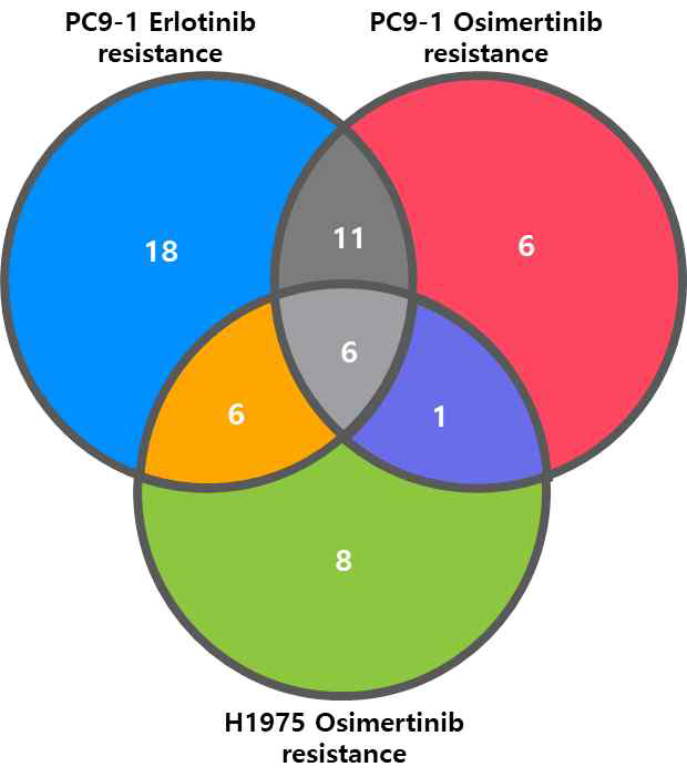EGFR 1, 3세대 약물을 처리한 내성세포주들에서 공통적으로 발견되는 kinase의 수