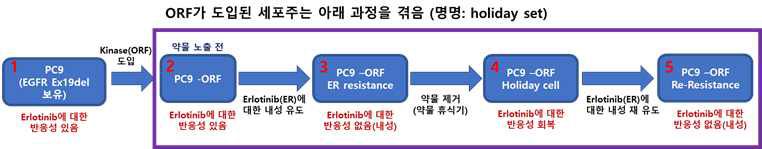 약물 휴약기 101종의 mRNA 발현 프로파일을 진행하기 위한 샘플 준비의 모식도