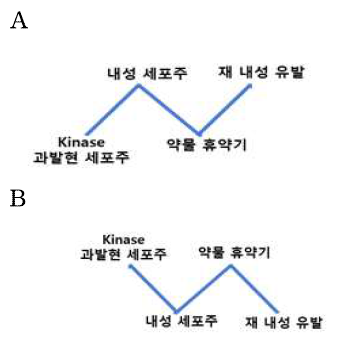 유전자 선별 패턴 모식도