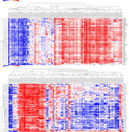 선별된 69개와 43개 유전자에 대한 heatmap