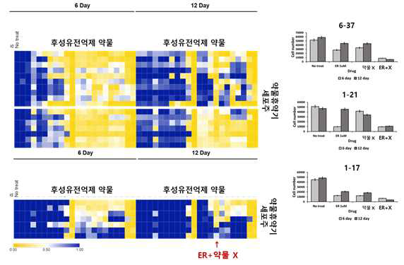 19종의 휴약기 세포주에서 11개의 후성유전변화 억제 약물 (1uM)과 Erlotinib의 병용처리를 통한 재내성 유발억제 확인. 왼쪽의 힙맵은 6일과 12일의 세포수를 나타내며 (6일 no treat기준), 이를 오른쪽 막대그래프로 다시 한번 나타냄(대표이미지 3/19)