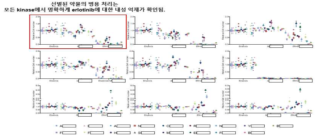 선별된 Kinase 과발현 세포주에 EGFR TKI와 선정된 11종의 후성 유전 변화 억제 약물 병용처리시 내성 억제됨