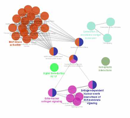 인산화 프로파일링을 통해 확보된 phosphorylation의 pathway 분석