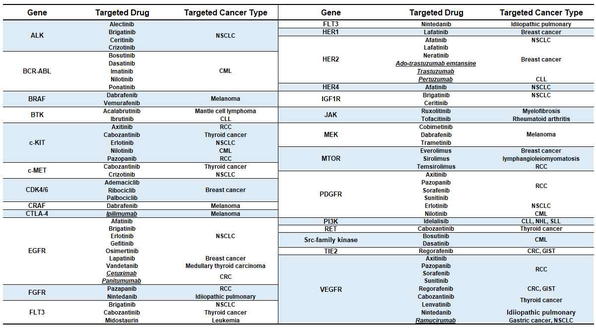 항암 분자표적치료제의 종류 및 타깃 암종과 유전자