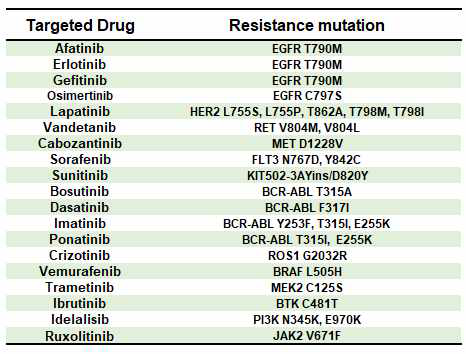 항암 분자표적치료제 유발 내성 돌연변이의 종류