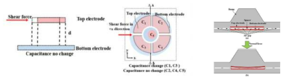 shear force 측정을 위한 센서 구조