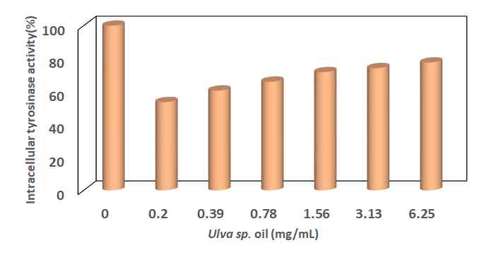 Ulva sp. 의 intracellular tyrosinase 활성 억제