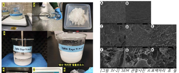 SEM 관찰사진 A:표백처리 후 셀룰로오스의 표면, B: 산처리 후 표면 사진, C: 초음파 균질 처리 30분후, D: 초음파 균질 처리 60분 후, E:초음파 균질 처리 120분 후(2,000배 확대사진)F: 초음파 균질 처리 30분 후(30,000배), G: 초음파 균질 처리 60분 후(50,000배), H:초음파 균질 처리 120분 후(50,000배)