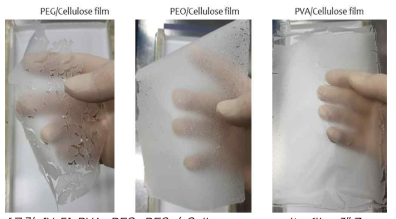 PVA, PEG, PEO / Celluose composite film 제조