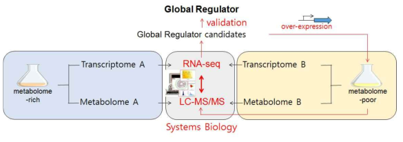 시스템생물학을 이용한 이차대사산물 생합성 global regulator유전자 탐색전략