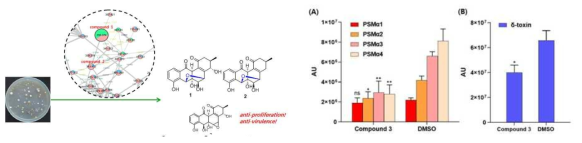 panglimycin D의 MRSA가 분비하는 독소 PSMα 및 δ-toxin 분비 억제 및 바이오필름형성 억제활성