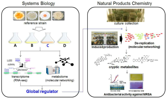 시스템생물학기반 cryptic 대사체 발굴 연구실의 개요