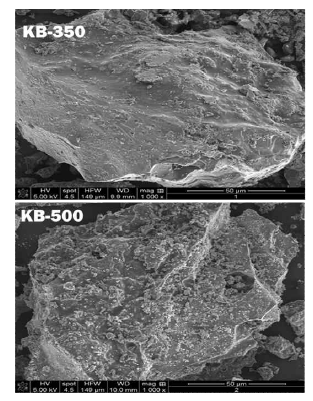 Krill biochar의 FE-SEM 분석결과