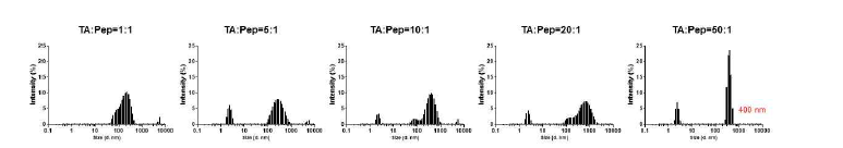다양한 비율의 peptide 및 TA 비율로 제작한 nanocomplex 크기 비교