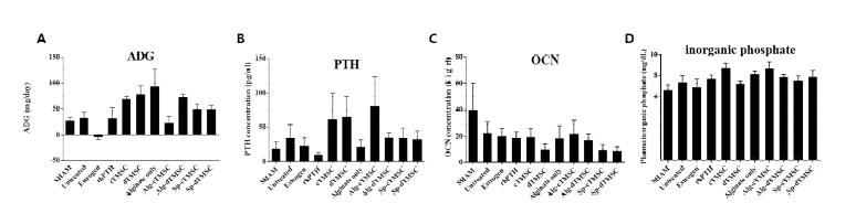난소절제술(ovariectomy; OVX)을 통하여 제작된 골다공증 마우스 모델에 미분화/분화 TMSC를 제 작된 세포운반체(alginate vs scaffold-free spheroid)를 통하여 피하에 이식하고 12주 뒤에, A. average daily gain (ADG), B. serum PTH, C. serum OCN, D. serum inorganic phosphate를 확인한 결과. Sham (non-OVX), Estrodiol (100 ng/mL of E2/daily), rhPTH (recombinant PTH/daily), cTMSC (미분화TMSC only), dTMSC (PTH분비 TMSC only), Alginate Only, Alg-cTMSC (cTMSC encapsulated in alginate scaffold), Alg-dTMSC (dTMSC encapsulated in alginate scaffold), sp-cTMSC (cTMSC spheroids), sp-dTMSC (dTMSC spheroid). n=3~5 for each group.