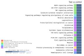 KEGG pathway analysis 결과(상위 20개 pathway, P<0.001)