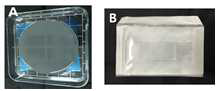 micro-chip 실물사진 micro-mold (A), PDMS micro-chip (B, C)