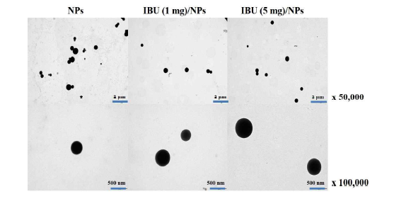 나노입자, IBU (1 mg)/나노입자 및 IBU (5 mg)/나노입자의 투과전자현미경 이미지