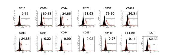 OI-iPSC#3 유래 중간엽줄기세포의 특성 분석