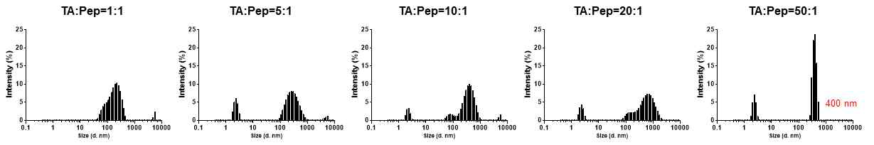다양한 비율의 peptide 및 TA 비율로 제작한 nanocomplex 크기 비교