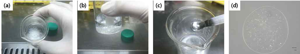 단계별 encapsulation 모습. alginate를 CaCl2에 떨어뜨린 후 gel을 형성(a). 이후 PLL 용액에서 코팅(b)을 한 후 heparin 용액에서 코팅(c)을 진행한 다음 liquidification을 진행한 capsule(d)을 확인함.