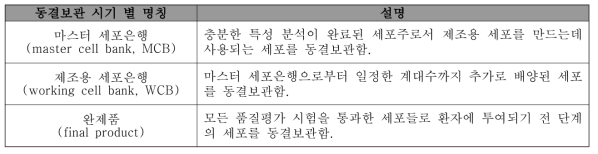 배양 시기 별 동결보관 명칭