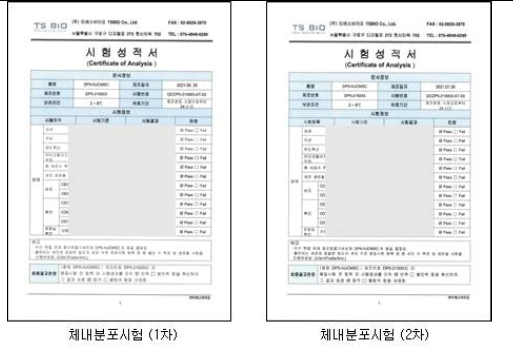 체내분포시험용 비임상시료 생산 요약