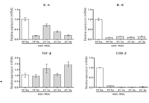 Pro-inflammatory cytokine의 mRNA 발현량 확인