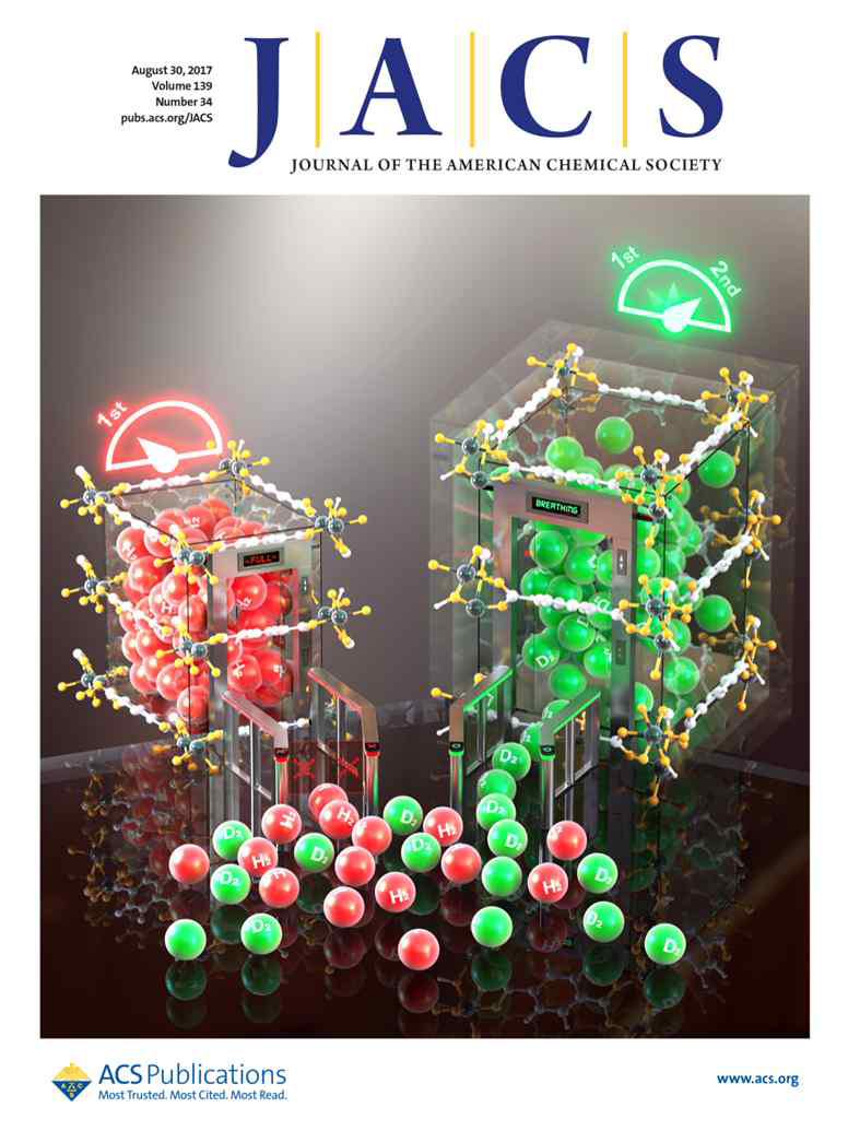 (표지 선정): 녹색으로 표시된 D₂가 중수소, 빨간색으로 표시된 H₂가 수소다. 플렉서블한 다공성 물질의 경우 수소는 1차 호흡 과정에서 확장이 멈추지만, 중수소의 경우 추가 흡착으로 2차 호흡에 의한 구조가 확장되는 모습을 표현했다