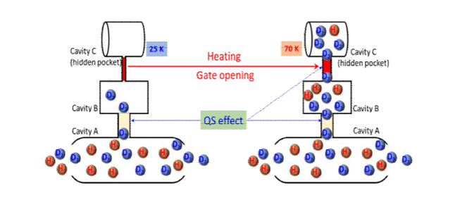 고온 중수소 분리 시스템(FMOFCu) : 극저온에서 수소 기체에 노출됐을 때, 작은개구(2.6Å)는 닫혀있고, 큰 개구(3.6Å)만 열려있다. 온도가 올라가면 작은 개구가 열리면서 고온에서도 운동 양자체 효과를 얻는 모습을 보여주고 있다