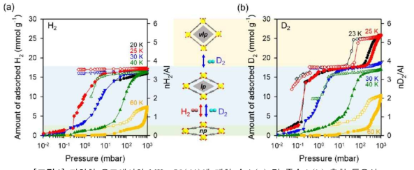 다양한 온도에서의 MIL-53(Al)에 대한 수소(a) 및 중수소(b) 흡착 등온선