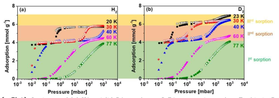 Isotherms of (a) H2 and (b) D2 sorption on CoFA measured at various T with the P