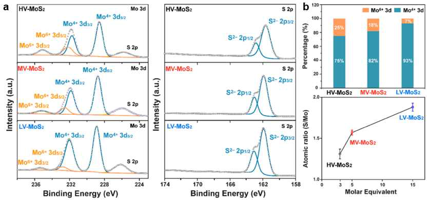 Liquid-phase organometallic reaction을 활용한 vacancy doped TMDs 합성. (a) 공극 농도에 따른 MoS2의 XPS 분석. (b) TMDs 공극 농도에 대한 정량 분석 및 원소 비율 분석