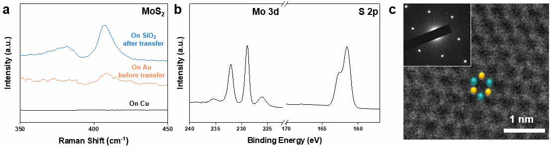 금속 촉매와 microwave 노출을 통한 고품질 MoS2 합성. (a) Raman spectroscopy를 통한 금속 촉매 종류에 따른 MoS2 품질 변화 분석, (b) 금 촉매 상 합성된 MoS2 XPS 분석 및 (c) 원자 해상도 이미지