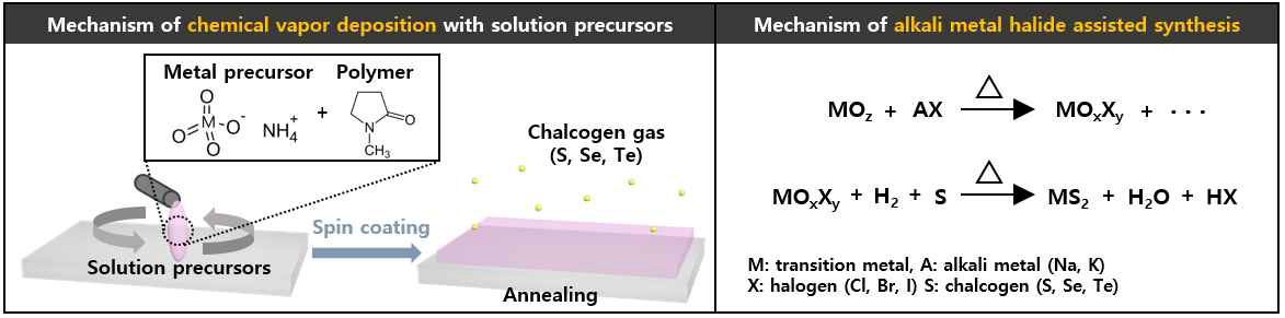 암모늄 화합물 전구체 용액 기반의 화학기상증착 방법을 활용한 다중층 TMDs 박막 합성 모식도 및 할로겐화 알칼리 금속 촉매 반응 원리