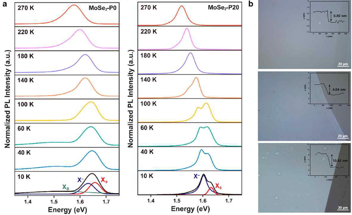 할로겐화 알칼리 금속 촉매를 이용해 합성된 고품질 TMDs 분석. (a) 온도에 따른 TMDs의 PL 분석. (b) 단일층 및 다중층 ReS2의 두께 및 표면 특성 분석