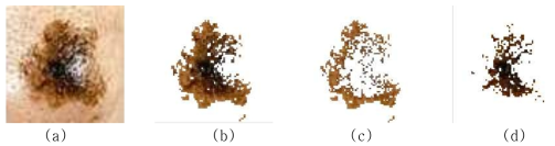 C 지표 (Color variegation): (a)원 영상 (b)배경을 제외한 영상 (c)군집 1영상 (d) 군집 2 영상