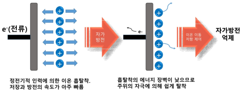 연구목표의 개념도