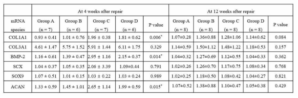 Quantitative real-time polymerase chain reaction analysis results at 4 weeks and 12 weeks.