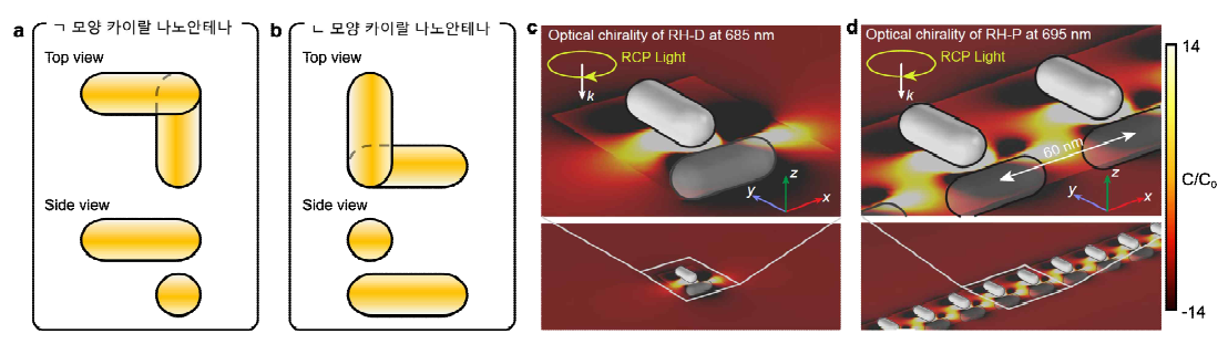 (a) ᄀ자 형태 카이랄 나노안테나. (b) ᄂ자 모양 카이랄 나노안테나. (c–d) 3차원 금나노막대 카이랄 나노안테나의 카이랄 비대칭성 (Optical chirality, C) 의 전산모사 계산 결과. (c) 단일 카이랄 나노안테나의 C 분포 (d) 중합체형 카이랄 나노안테나의 C 분포