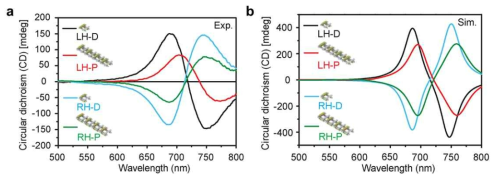 (a-b) 용액형 카이랄 나노안테나의 원형 이색성 스펙트럼 분석 결과 (a) 실험 측정 결과 (b) 시뮬레이션 계산 결과