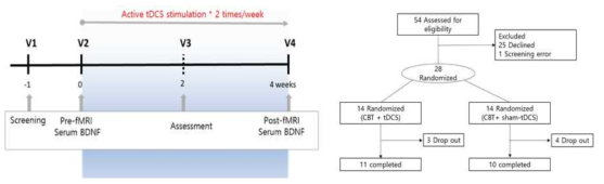 tDCS연구 진행 모식도 (좌)와 Flowchart of a double-blind, randomized, placebo-controlled trial (우)