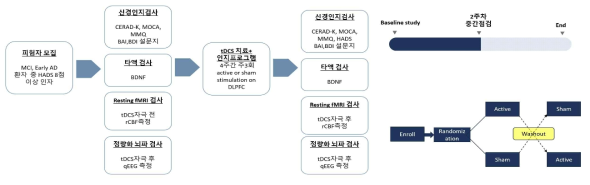 경도인지장애 대상 경두개 직류 자극술 시행 임상 연구 개요