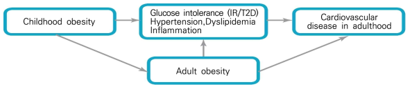 소아비만-성인비만-대사증후군과의 관계(Nadeau et al., 2011)