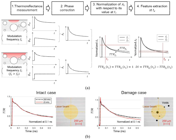 Transient thermoreflectance measurement for micro defect detection, (a) Overview of the