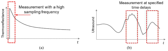 Accelerated measurement strategy, (a) Measurement with a varying sampling frequency, (b) Measurement at certain specified time delays