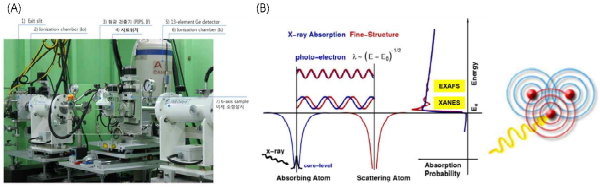 (A) 포항방사광기속기 10C-Wide XAFS 빔라인의 실험 허치 이미지. (B) XANES와 EXAFS 영역을 보여주는 에너지 다이어그램